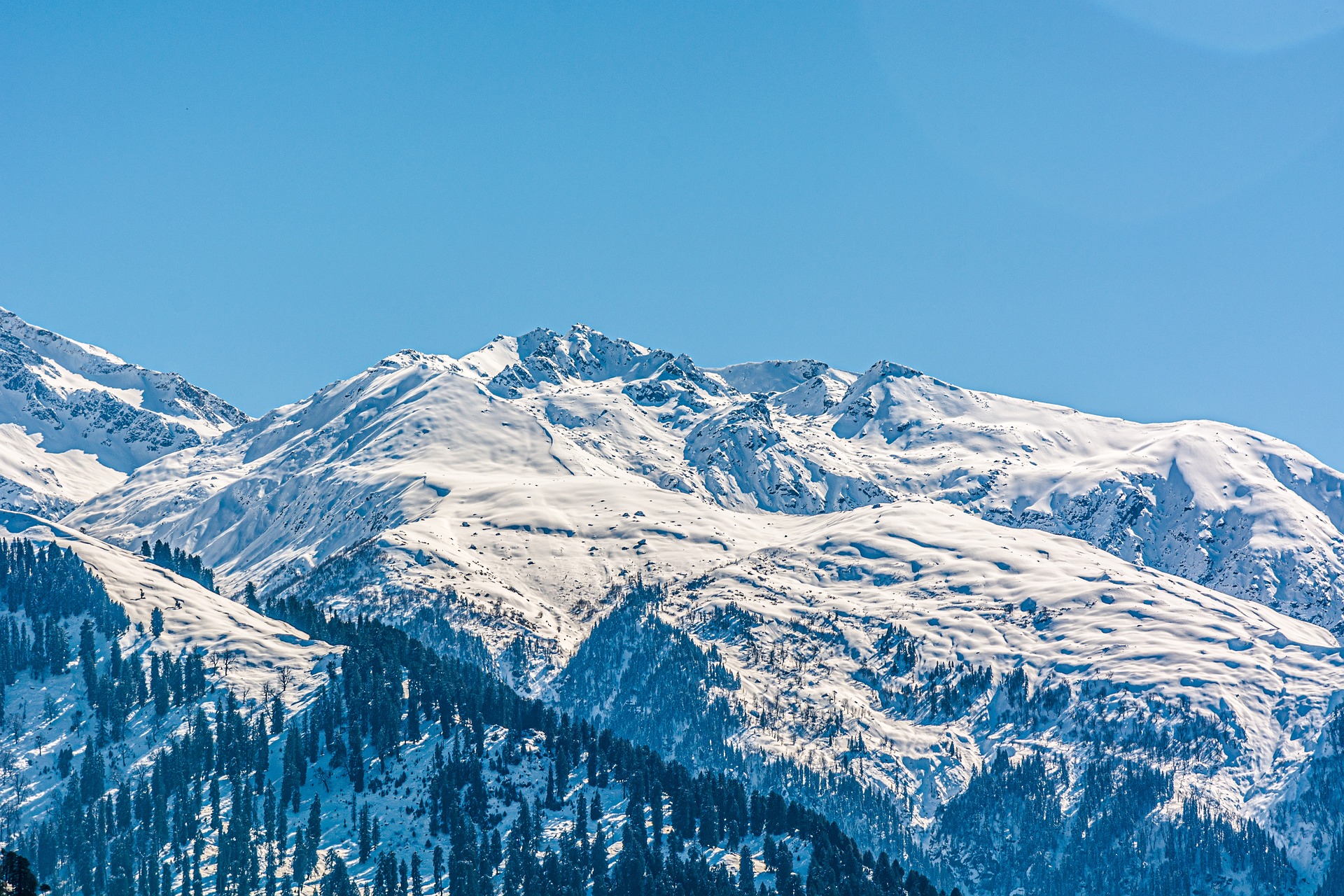 Shimla